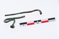 Foto von Bronzeschwanenhalsnadel (NHMW-PRAE-035778)